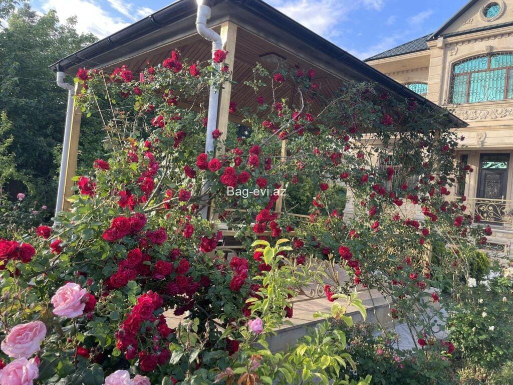 Masazırda Göl panoramalı hovuzlu bağ evi satılır